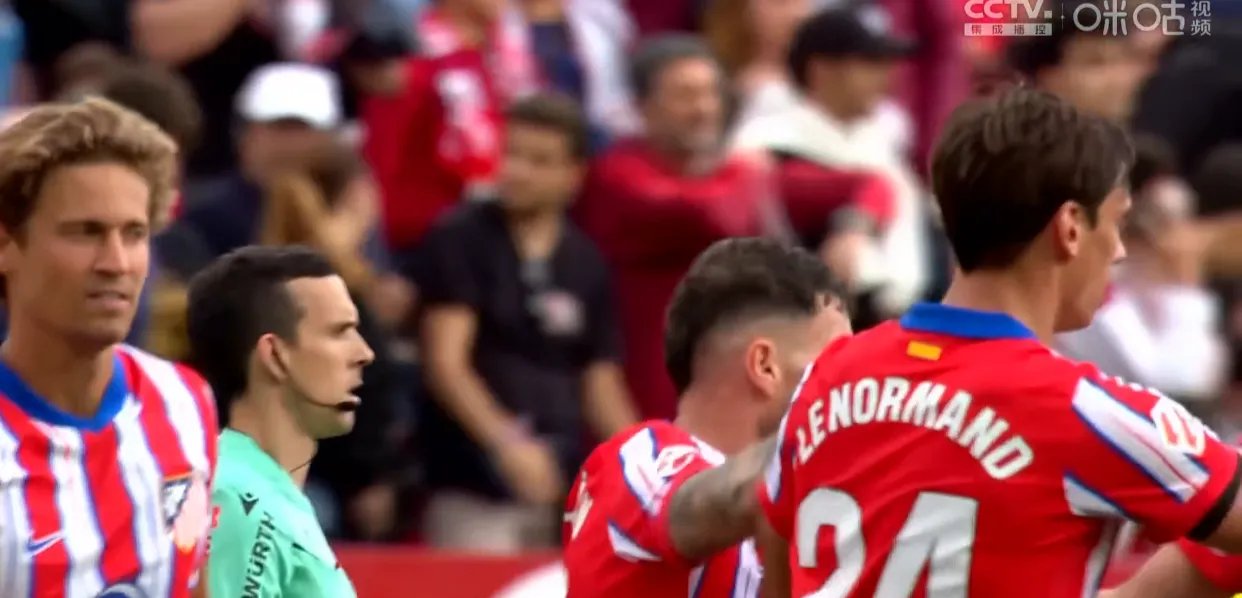 塞尔维亚球员在比赛中打出好戏